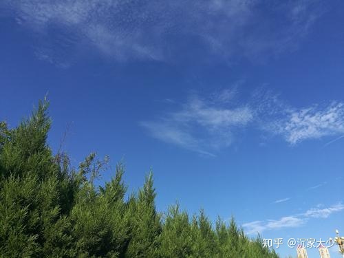 淘宝预约考试可信吗(淘宝有没有帮考试的)