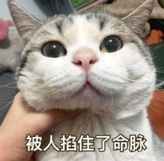 营销的策略
