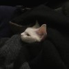 淘宝怎么上传商品(淘宝怎么上传商品图片)