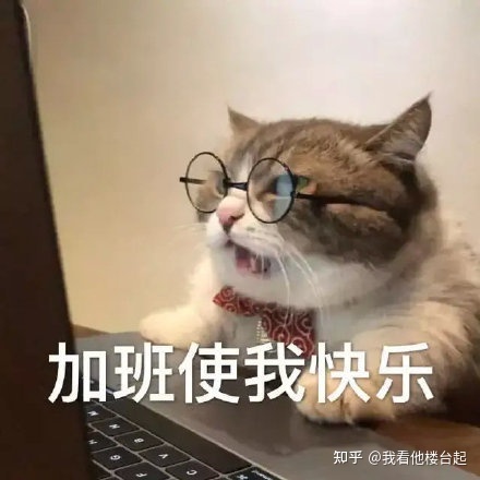 淘宝标题选词是要选展现高的词吗(淘宝标题类目词是什么意思)