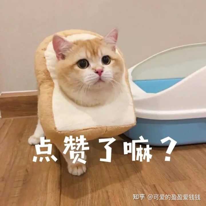 快手信息流广告的竞价模式是怎样的？