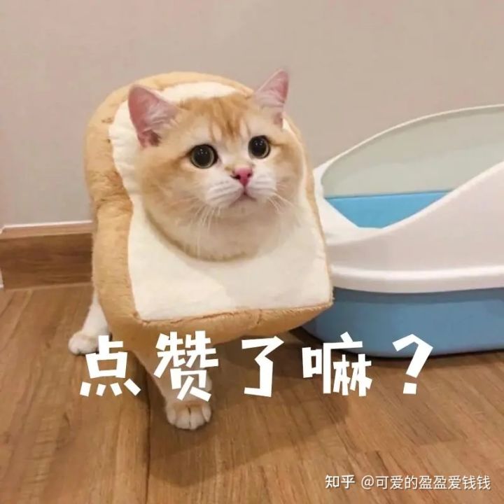 运营到底是啥？