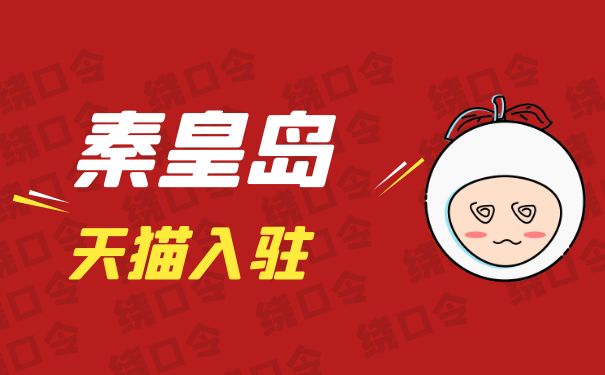 淘宝聊天单是什么(聊天单都聊什么)