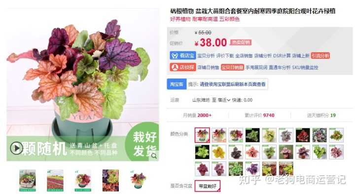 淘花在哪实名认证(淘花没有实名认证没办法打款吗)