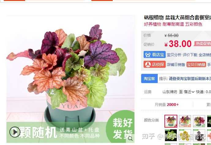 直播设备哪个牌子好