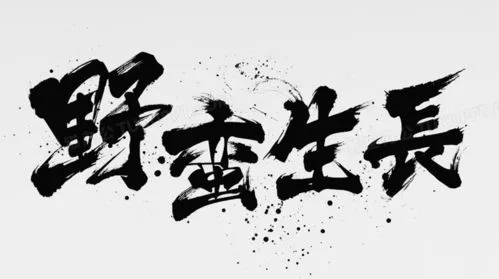 抖音西瓜视频推广方法有哪些?抖音西瓜视频推