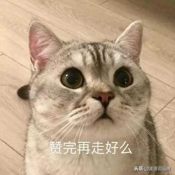 淘宝店铺运营需要掌握哪些技巧,淘宝运营公司(网店怎么运营)