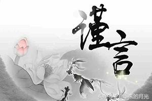 长尾词SEO优化策略：提升网站用户的参与度和转化率