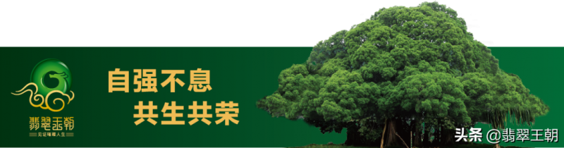 浅析原创文章对百度搜素引擎就一定有用吗。