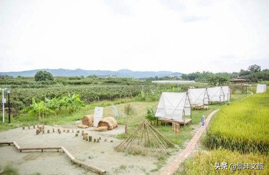 淘宝特价版要交保证金吗(淘宝特价版退保证金)
