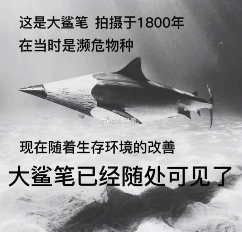 小红书信息流开户得流程是怎样的?