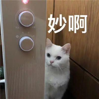 分析策划网络推广营销失败的原因。