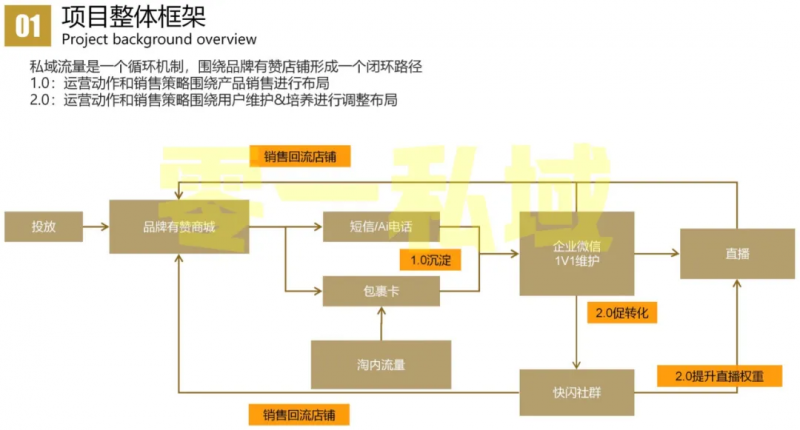 信科网络:什么是营销丛林?如何建立全网营销渠道