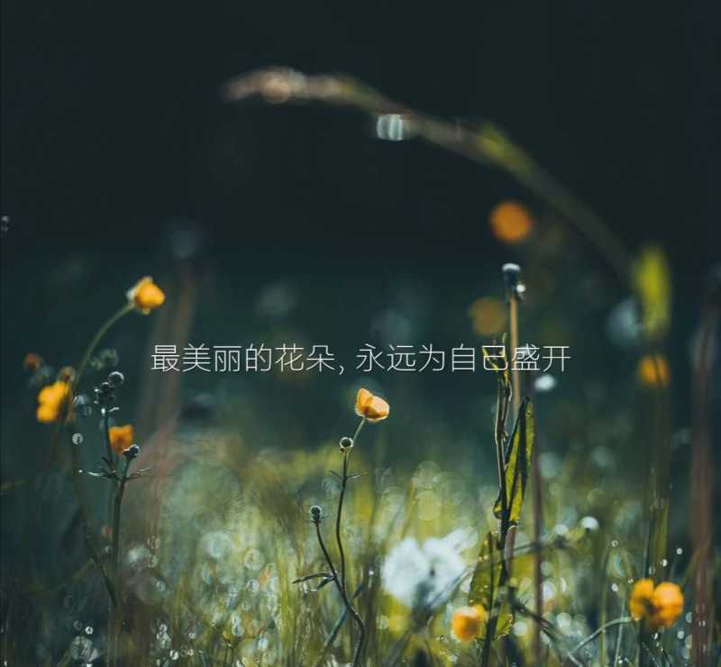 Tiktok从入门到精通,带你全方面系统性了解平台