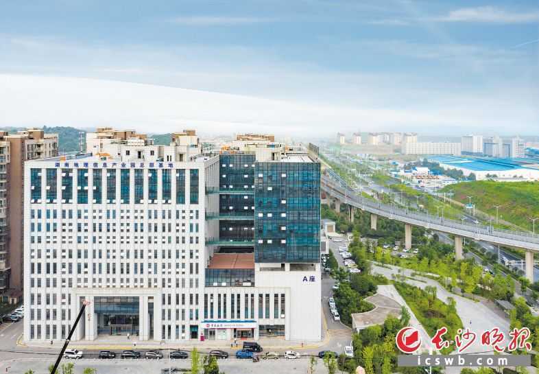 淘宝资金冻结是什么原因(淘宝商家冻结资金怎么解冻)
