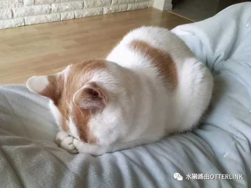 要成为一个会做招聘规划的HR