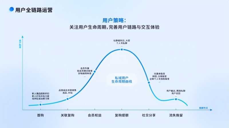 如何利用新媒体平台进行网站优化。