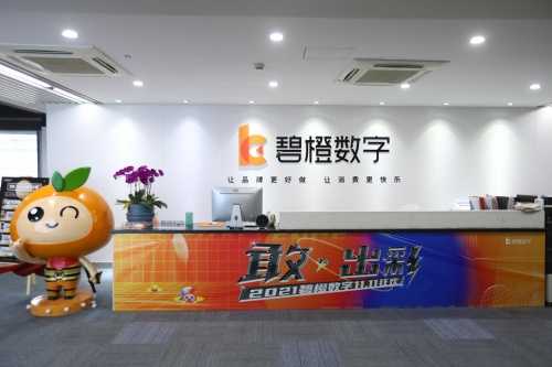 安徽宁国快手广告推广汽车怎么推广？安徽宁国快手开户找谁？