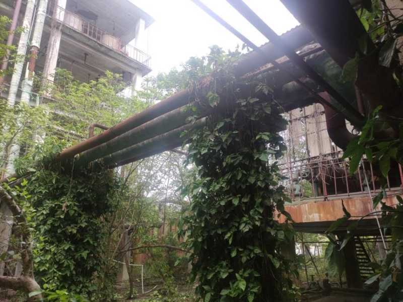 淘宝竞争度多少合适(淘宝竞争度怎么算)