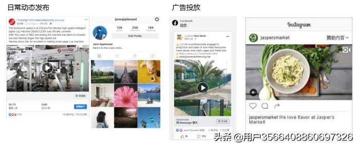 人生最顶级的能量,一定是从当下的觉醒中获取。