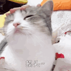 分销渠道的管理