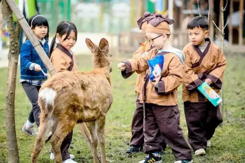 内耗很严重，感觉每天都能量不足该怎么办？
