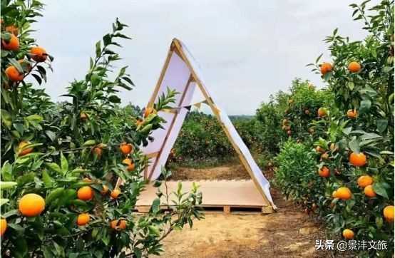 零售通怎么入驻商家(怎么入驻零售通批发商)